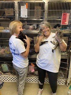 Volunteer - Manchester Animal Shelter